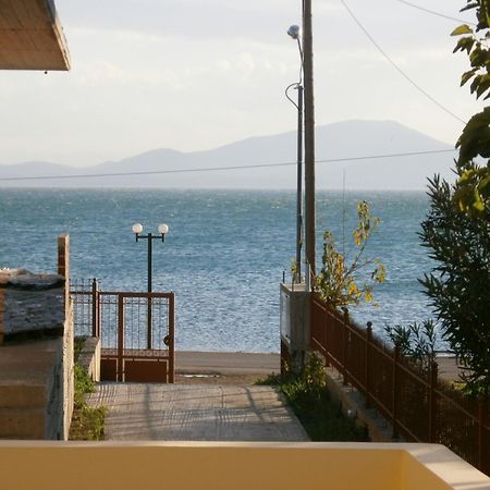 Artemis - Marina Apartments Evia ภายนอก รูปภาพ