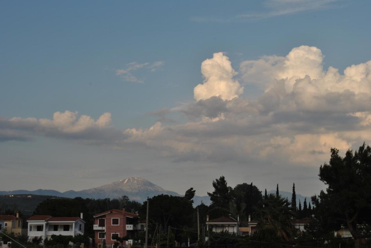 Artemis - Marina Apartments Evia ภายนอก รูปภาพ