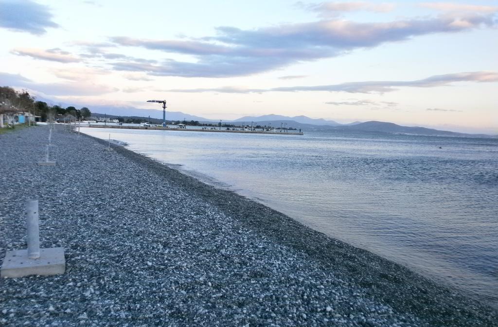 Artemis - Marina Apartments Evia ห้อง รูปภาพ
